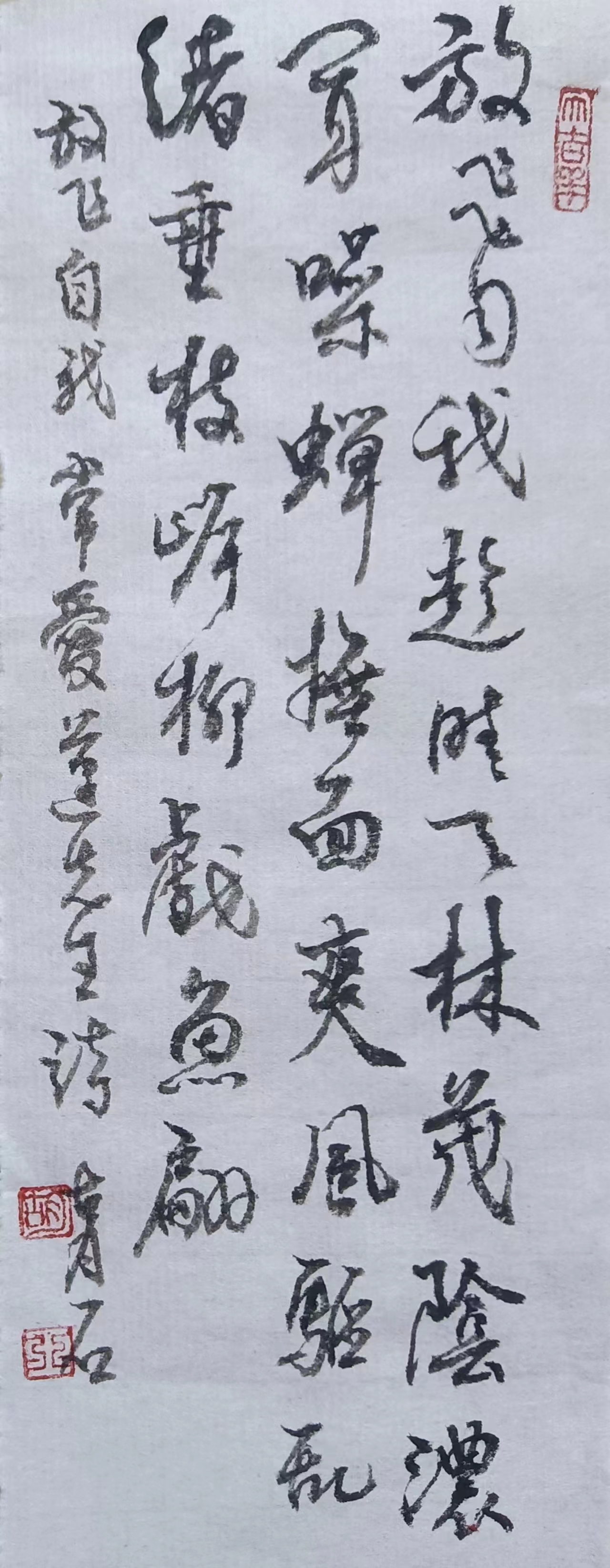 77.jpg
