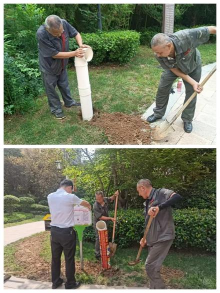 洛阳市郑州路街道华源社区：倡导文明养犬  “蚯蚓塔”变“粪”为宝