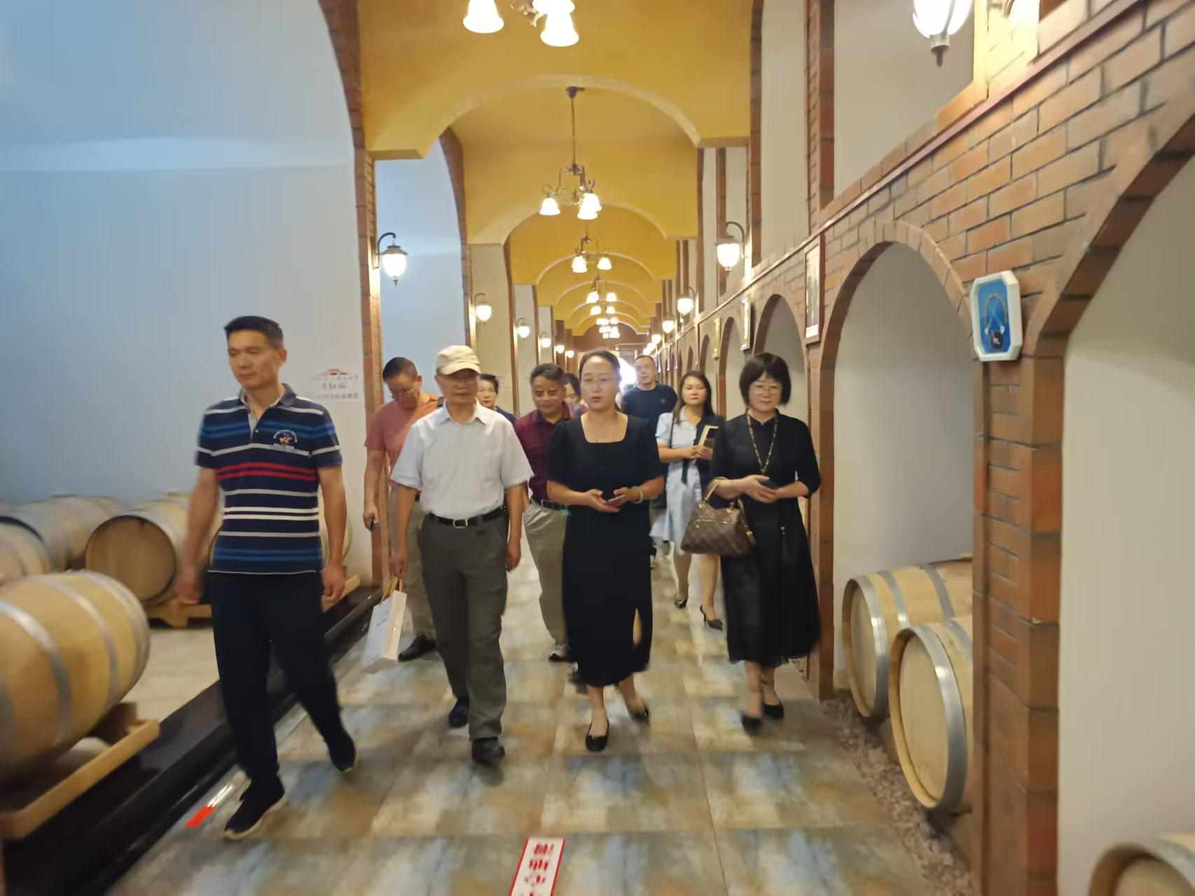 中小企业融通创新专家团赴中国葡萄酒第一镇红寺堡调研