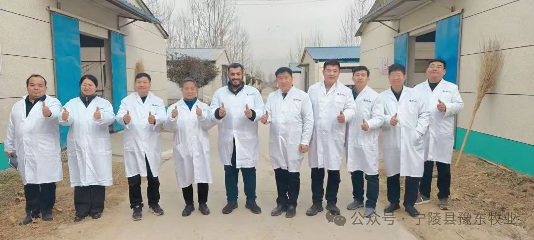 沙特阿拉伯王国Fars带队莅临豫东牧业参观交流