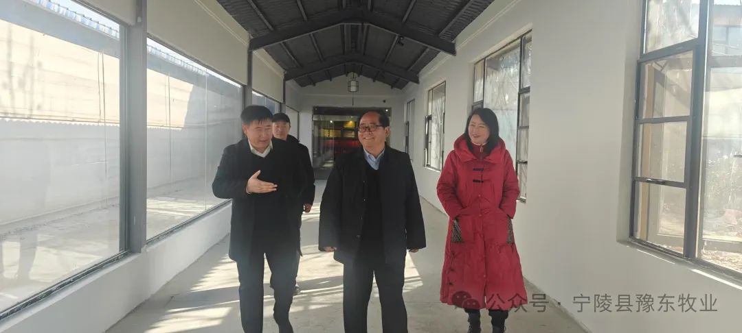 河南省人大代表、武陟县大封镇老催庄党支部书记宋国庆带队到豫东牧业考察交流