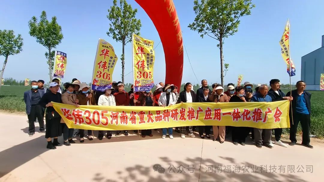 福海农业华伟305春季观摩暨河南省重大品种研发市场推广会圆满成功