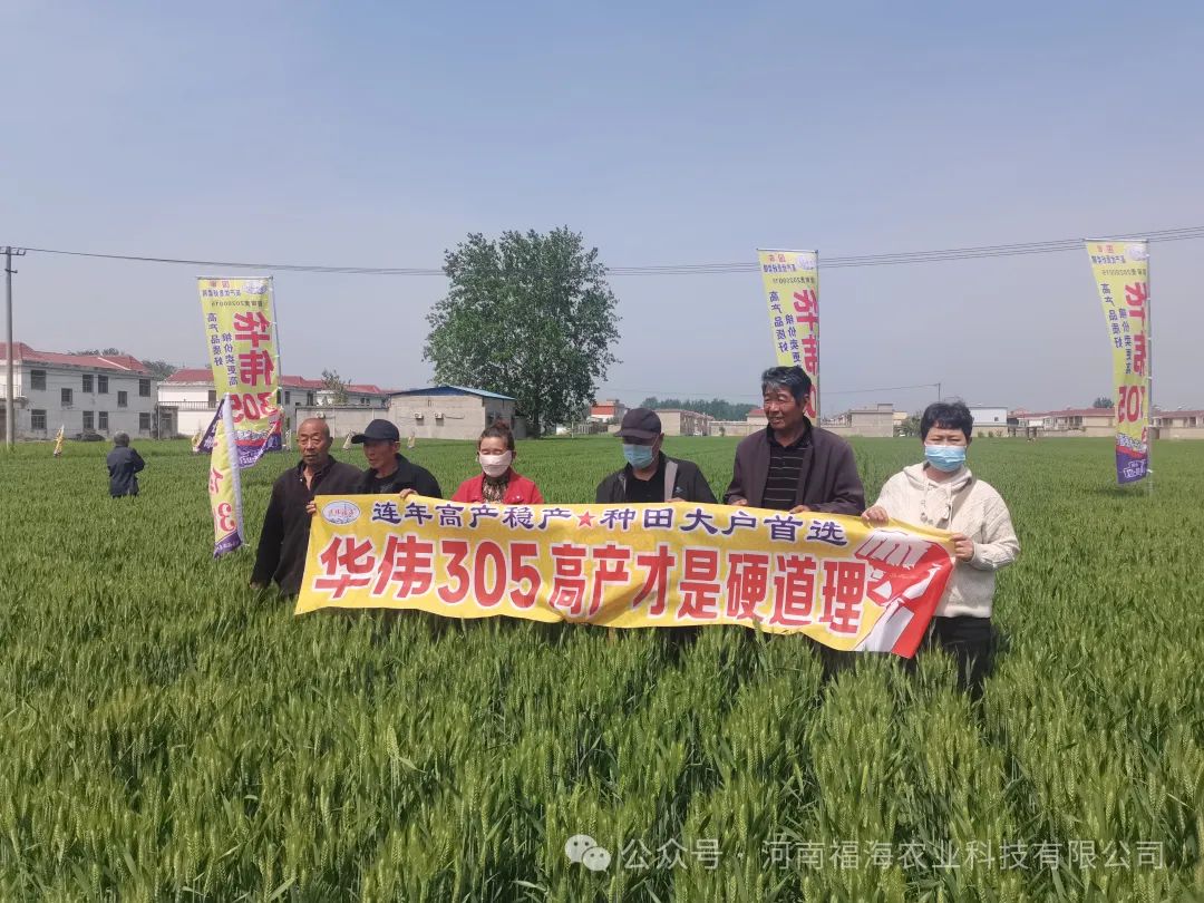 华伟305市场推广会在安徽涡阳成功举行