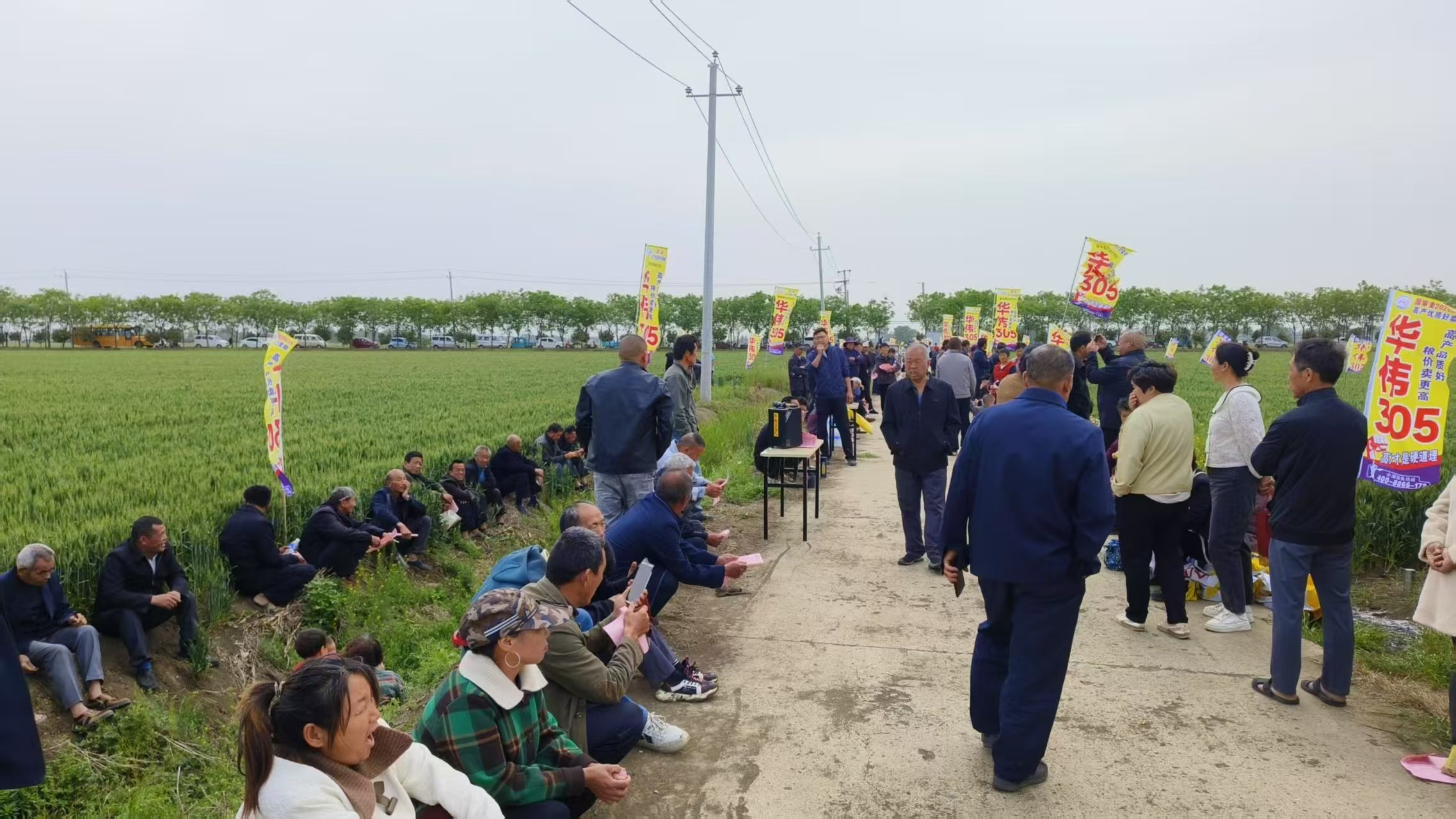 河南省重大品种研发推广应用一体化南阳新野县华伟305田间观摩市场推广会成功举行