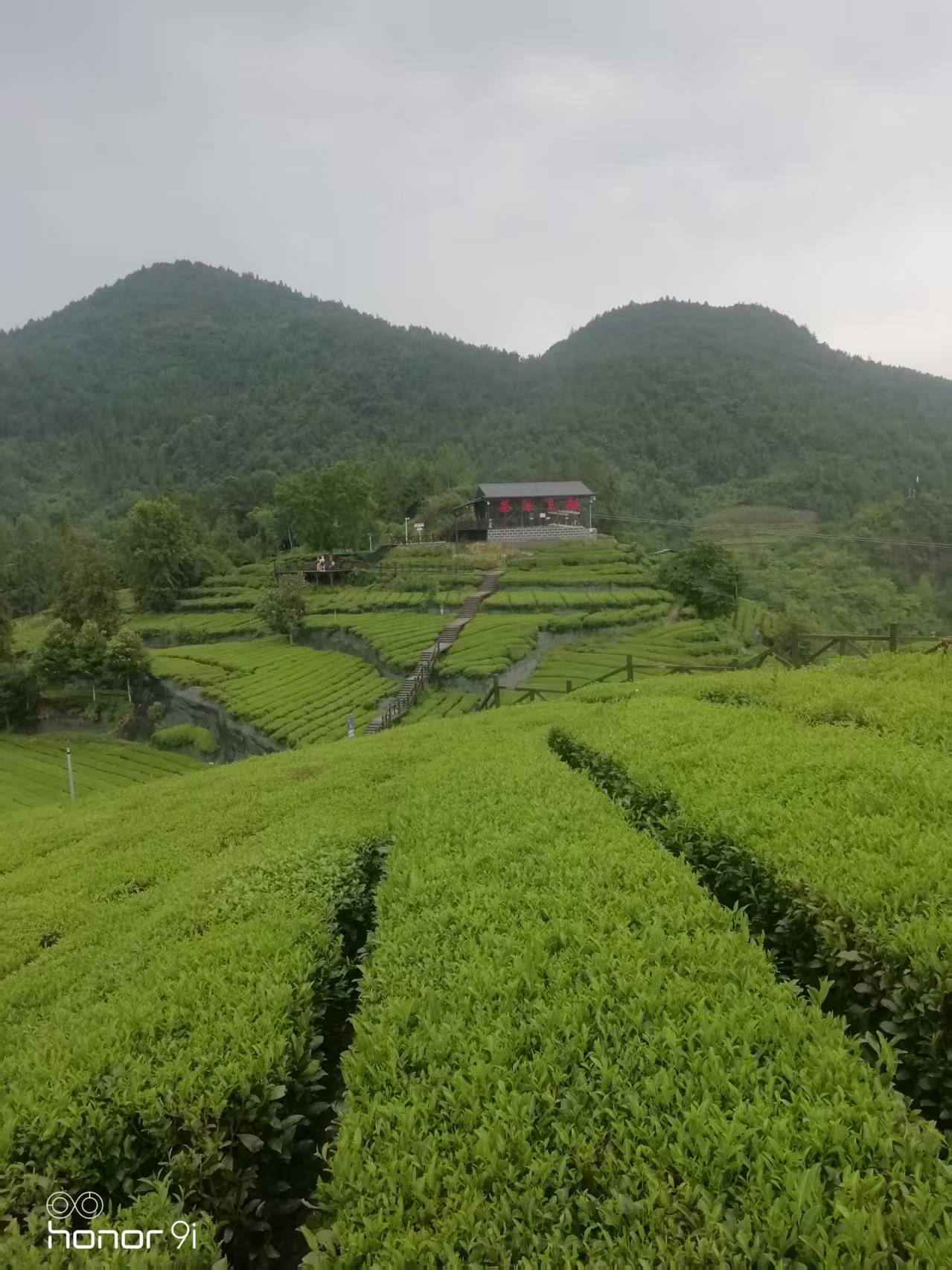 游览湖北恩施五家台贡茶文化旅游区（外二首）