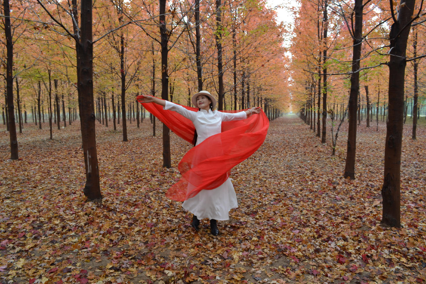 民权县摄影家协会与影视家协会开展秋季采风活动