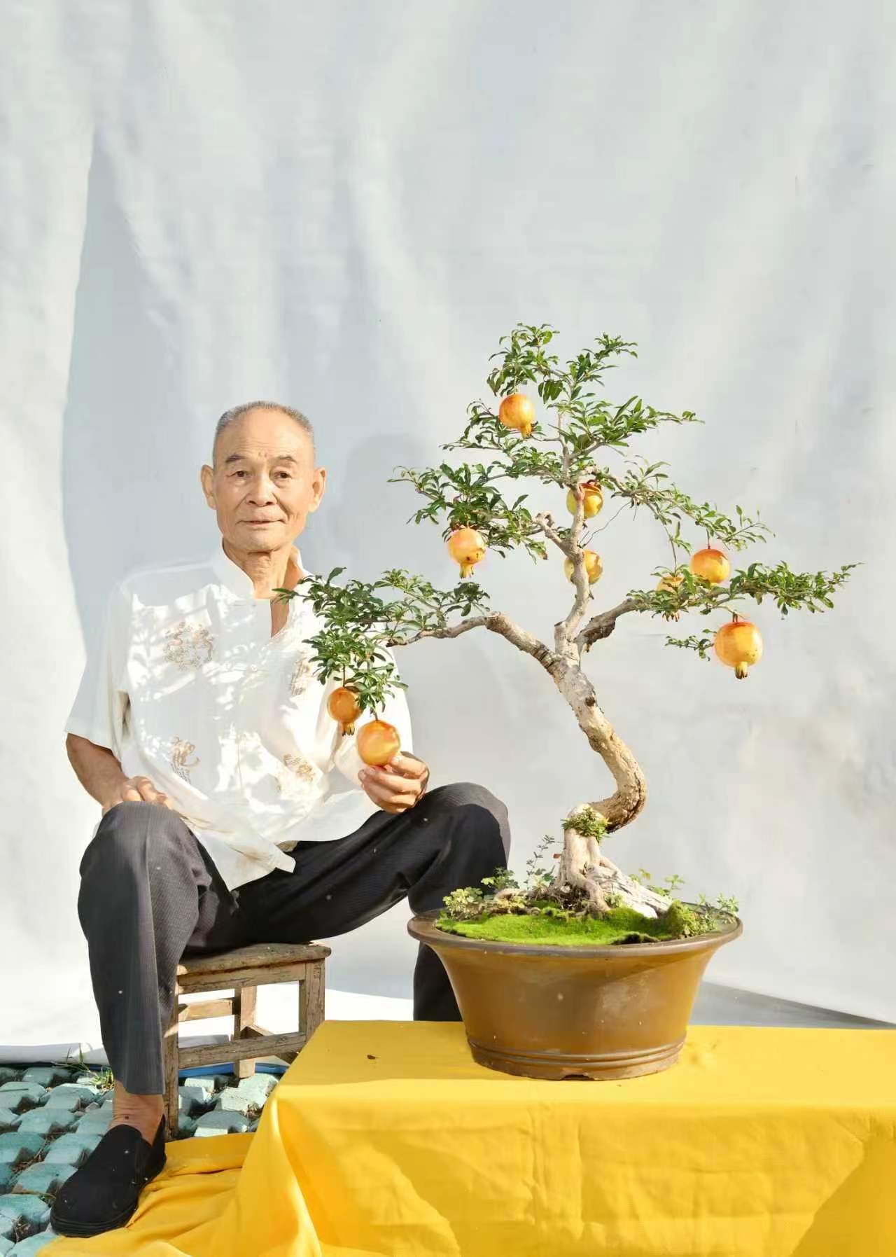 盆景人生：张尽善的艺术世界