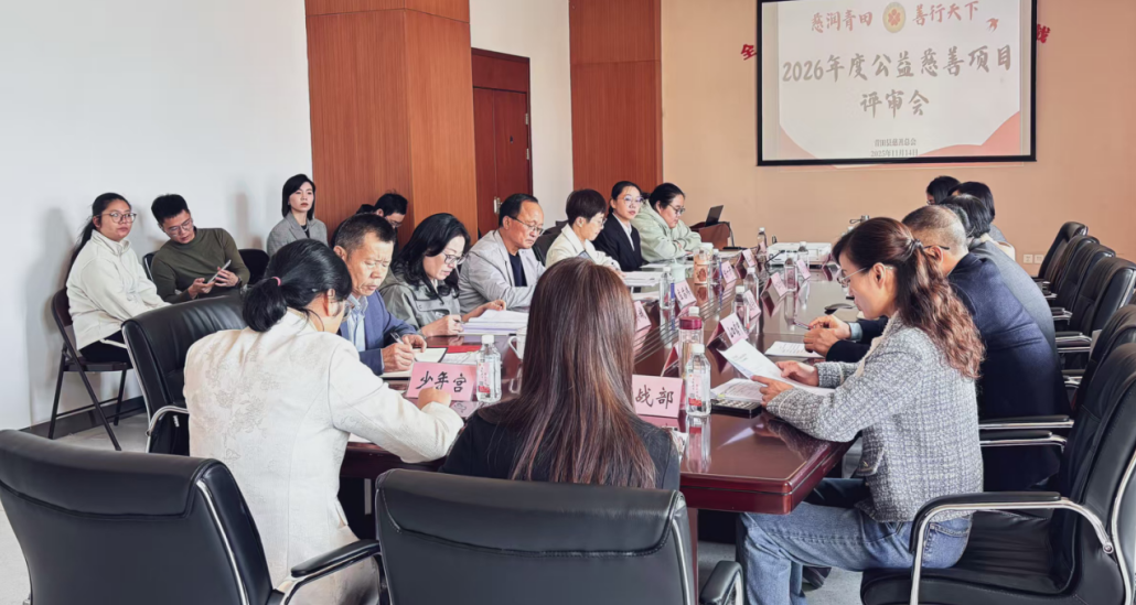 青田选优公益慈善项目        推动慈善资源精准对接民生需求