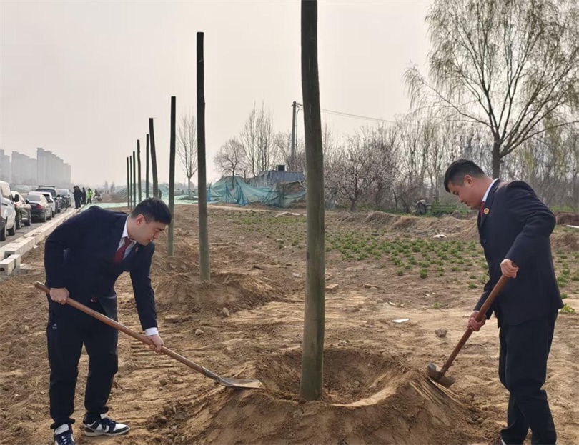 植此青绿守家园 党建引领践初心——院开展植树节主题党日活动