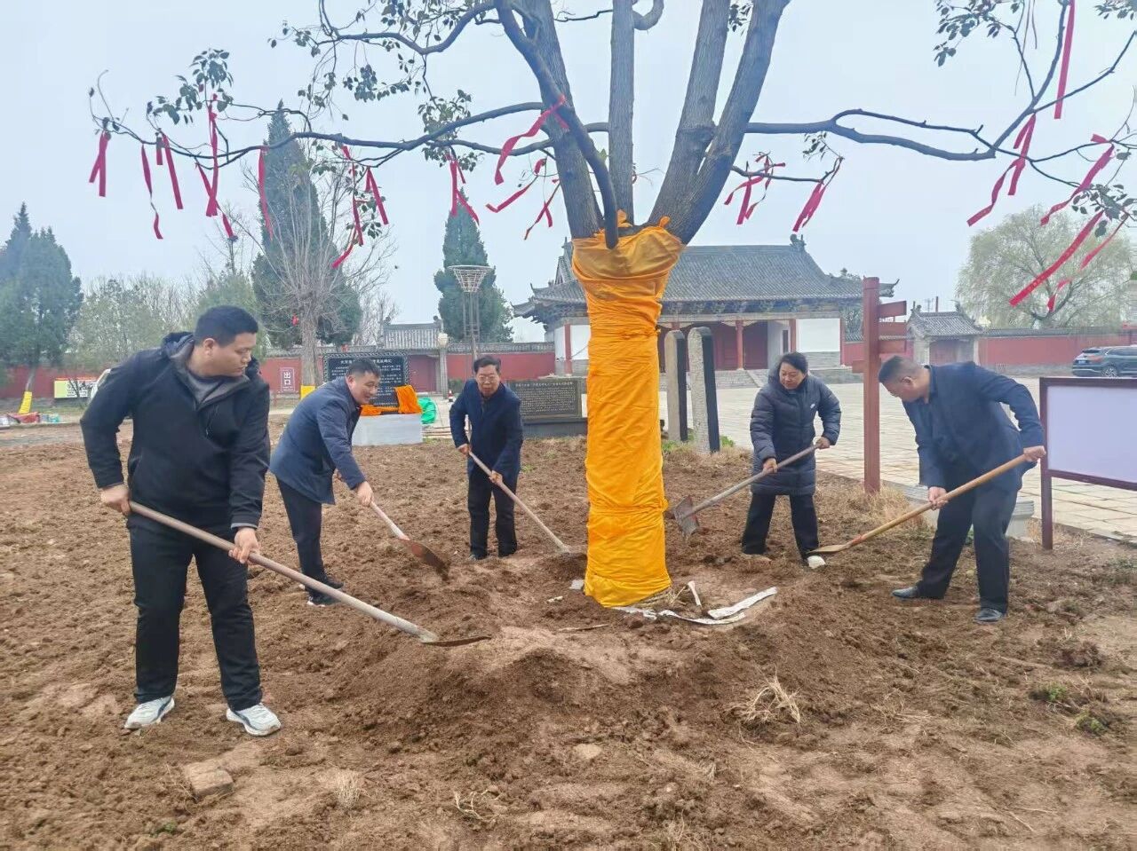 商丘市姓氏文化研究会张姓委员会到燧皇陵“万姓林”种植香樟树