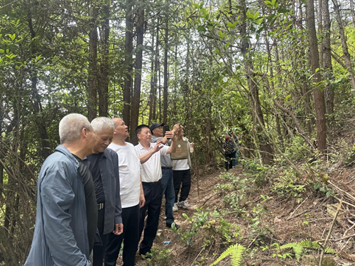 齐育华等一行赴云和调研 慈善生态茶园项目基地