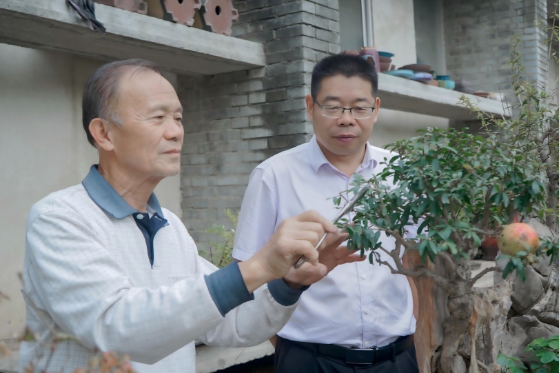 商丘盆景亮相“首衡杯”斩获银奖